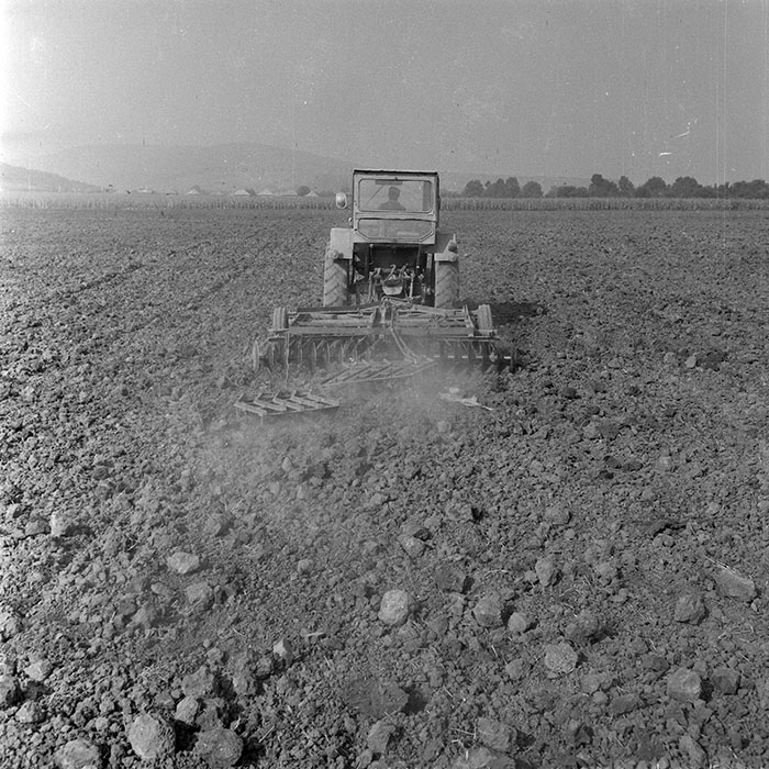 minerva_1982_c3_c3r1_004