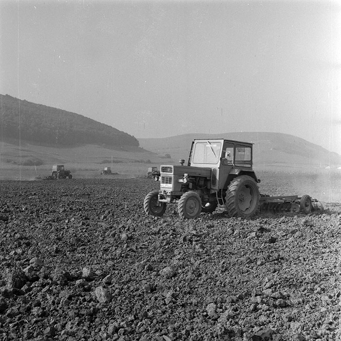 minerva_1982_c3_c3r1_005