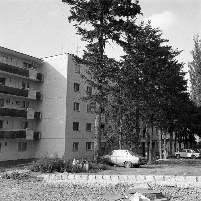 minerva_1982_c3_c3r2_001