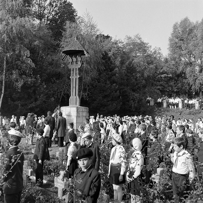 minerva_1982_c3_c3r5_006