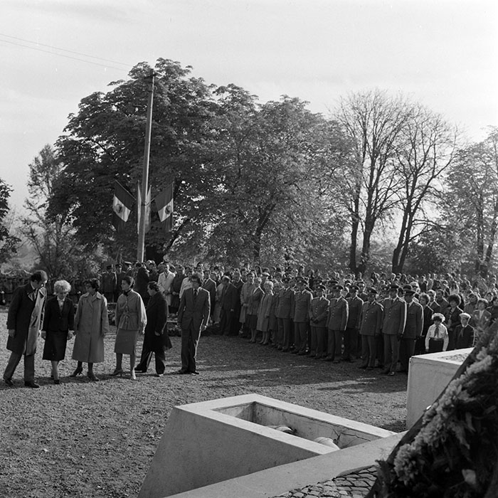 minerva_1982_c3_c3r5_009