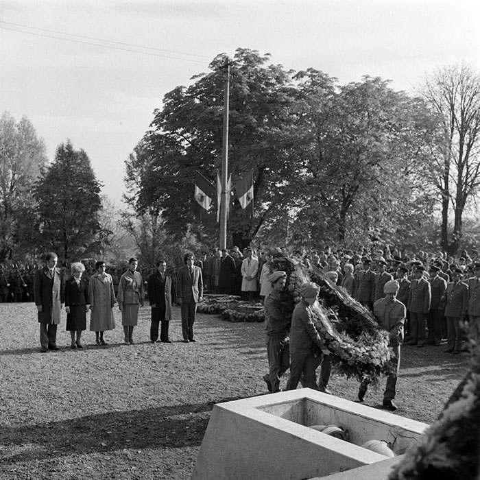 minerva_1982_c3_c3r5_012