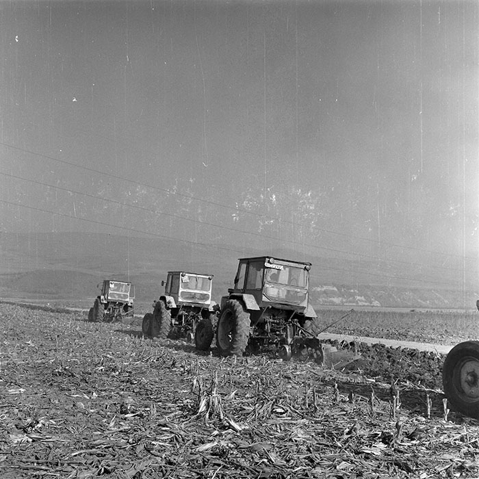 minerva_1982_c3_c4r1_021