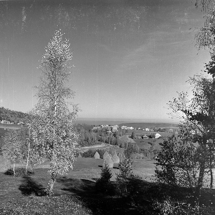 minerva_1982_c3_c4r1_023