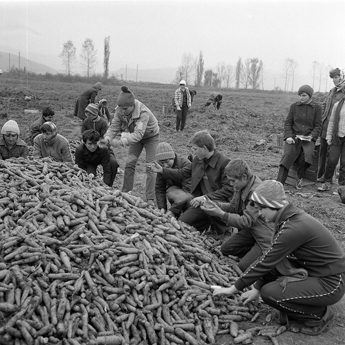 minerva_1982_c3_c4r4_020