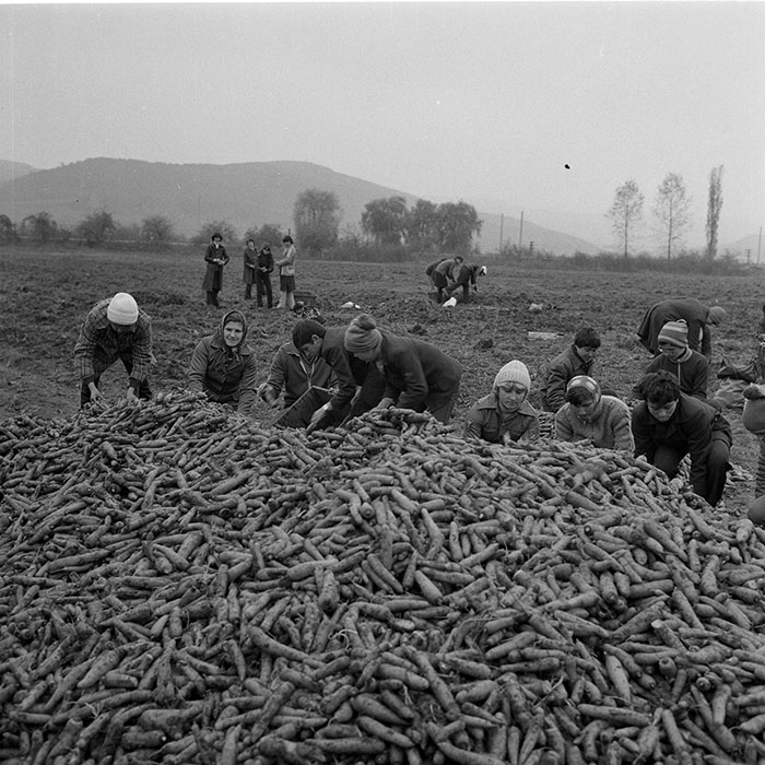 minerva_1982_c3_c4r4_021