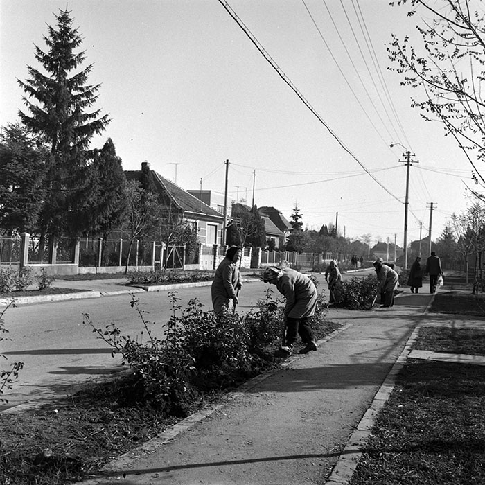 minerva_1982_c3_c4r5_025