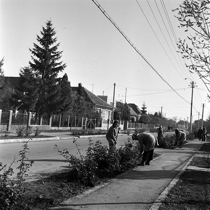 minerva_1982_c3_c4r5_026