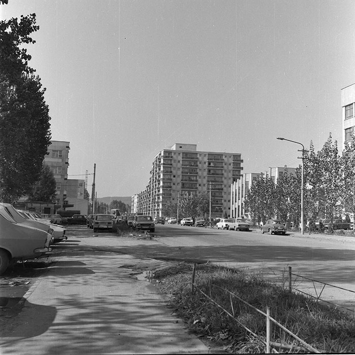 minerva_1982_c3_c5r2_007