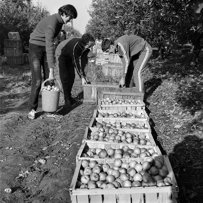 minerva_1982_c3_c5r2_011