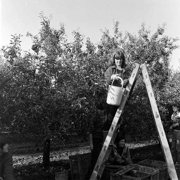 minerva_1982_c3_c5r2_012