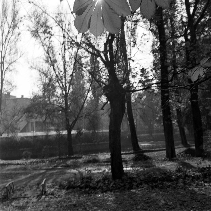 minerva_1982_c3_c5r3_008