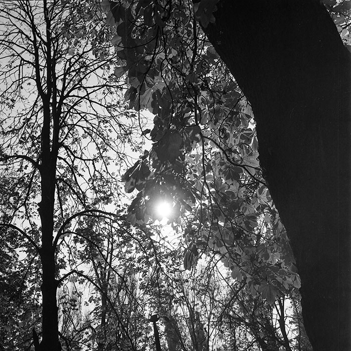 minerva_1982_c3_c5r3_009