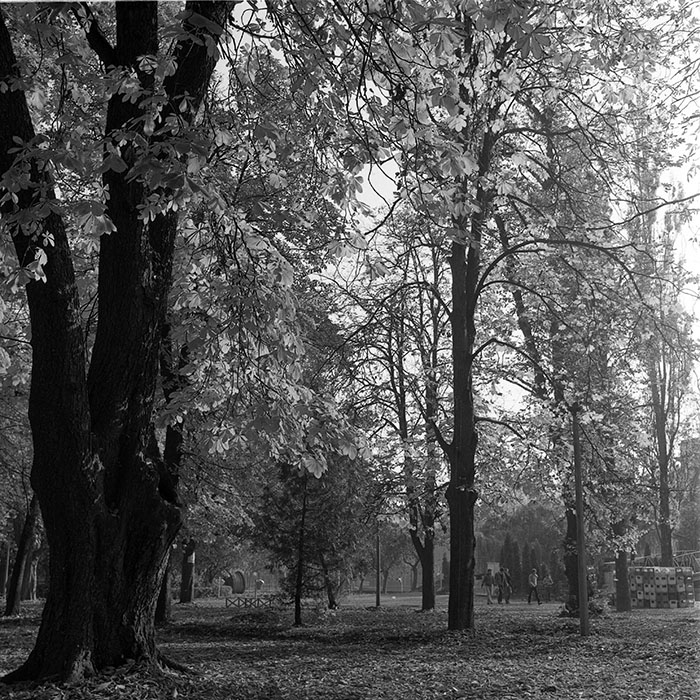 minerva_1982_c3_c5r3_010