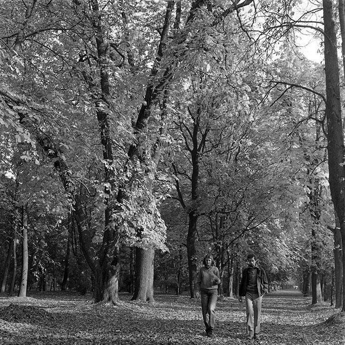 minerva_1982_c3_c5r3_011