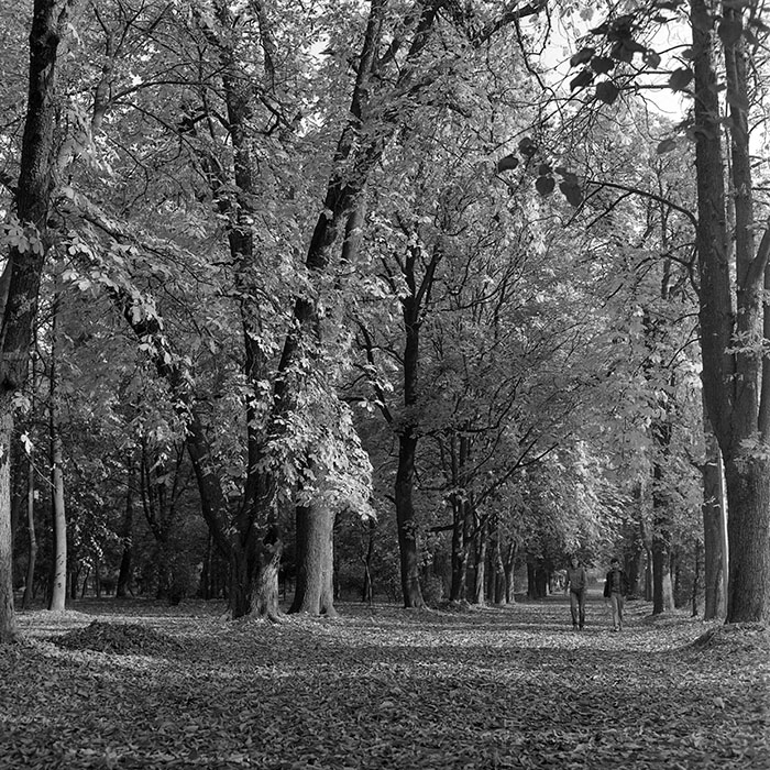 minerva_1982_c3_c5r3_012