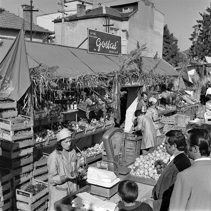 minerva_1982_c3_c5r4_001