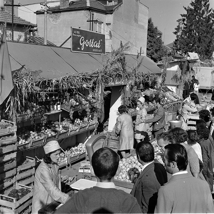 minerva_1982_c3_c5r4_002