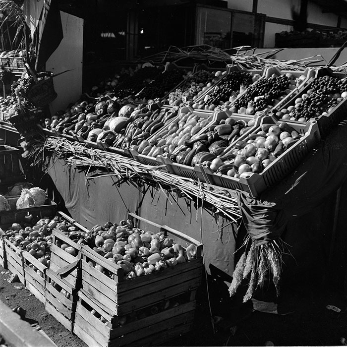 minerva_1982_c3_c5r4_003