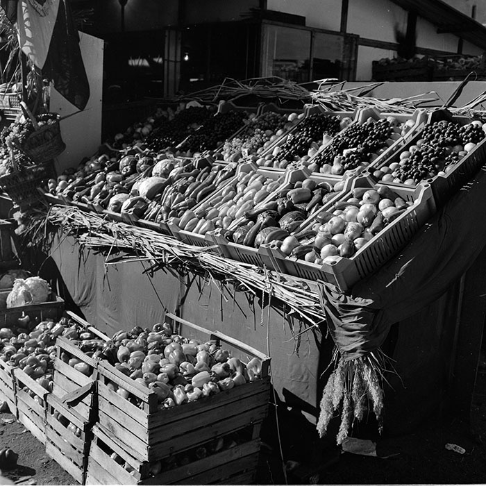 minerva_1982_c3_c5r4_004