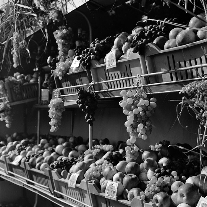 minerva_1982_c3_c5r4_007