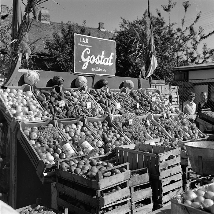 minerva_1982_c3_c5r4_008