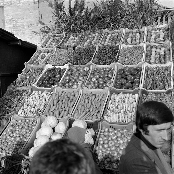 minerva_1982_c3_c5r4_010