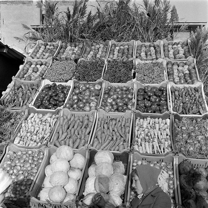 minerva_1982_c3_c5r4_011