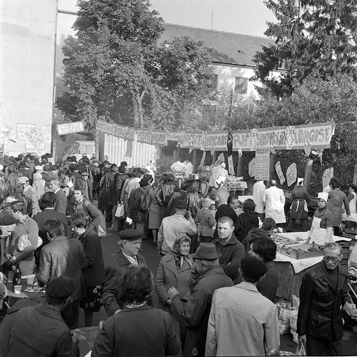 minerva_1982_c3_c5r4_013