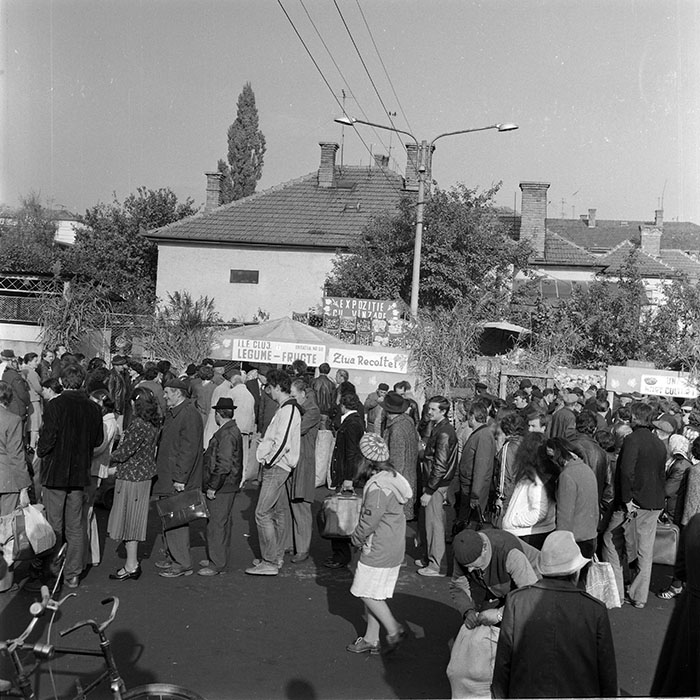 minerva_1982_c3_c5r4_015