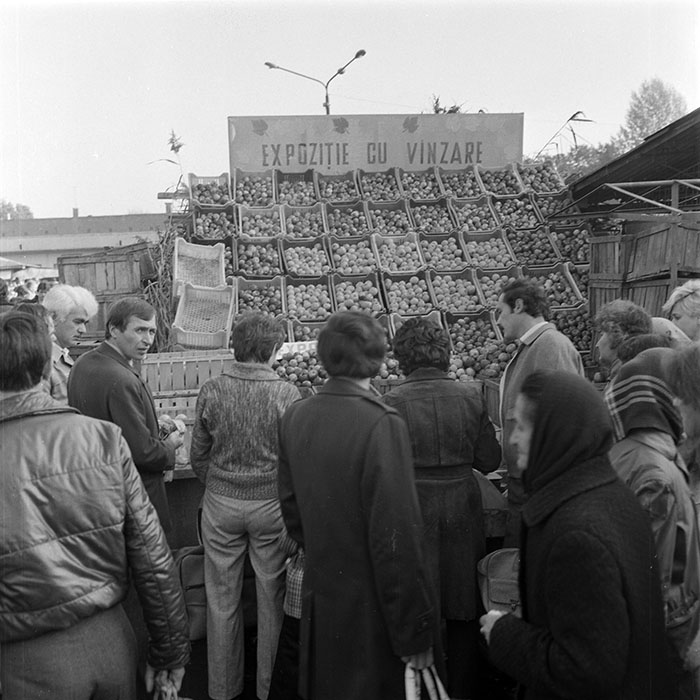 minerva_1982_c3_c5r4_016