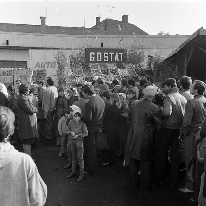 minerva_1982_c3_c5r4_017