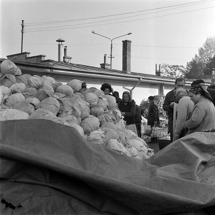 minerva_1982_c3_c5r4_018