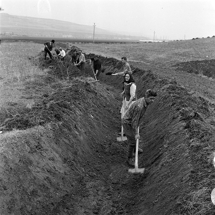 minerva_1982_c3_c5r5_002