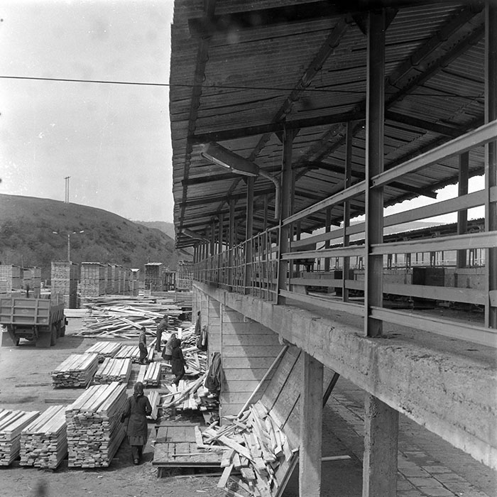 minerva_1982_c3_c6r4_001