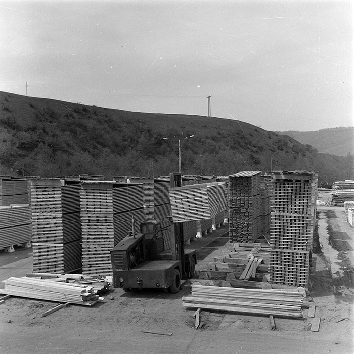 minerva_1982_c3_c6r4_002