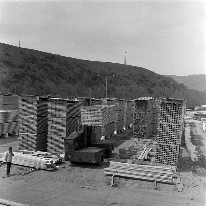 minerva_1982_c3_c6r4_003