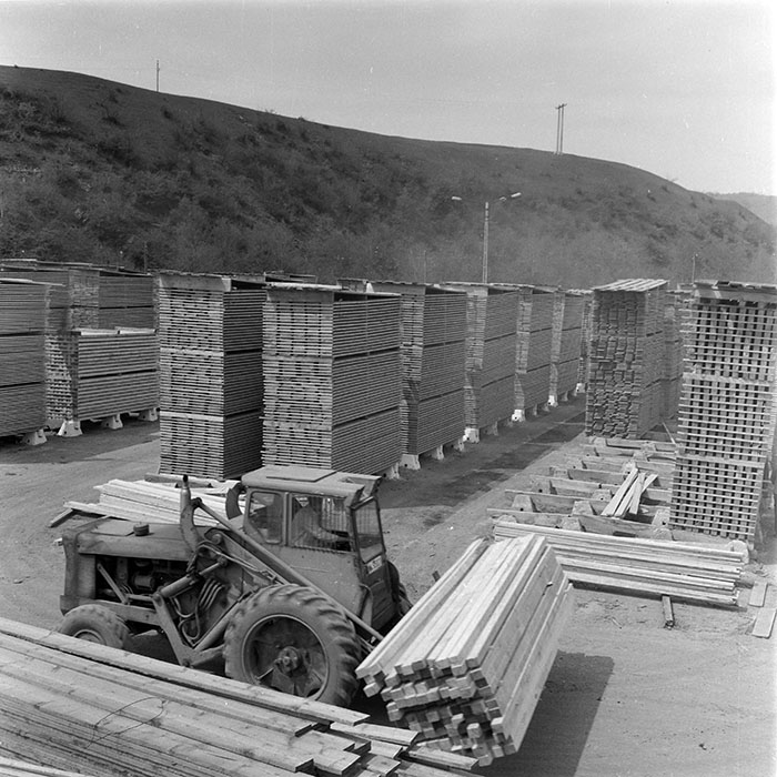 minerva_1982_c3_c6r4_004