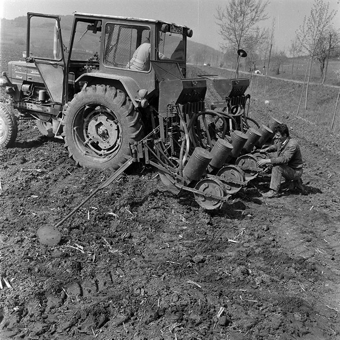 minerva_1982_c3_c6r4_008