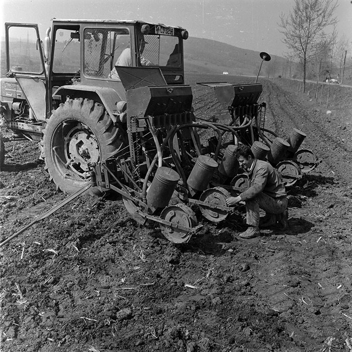 minerva_1982_c3_c6r4_009