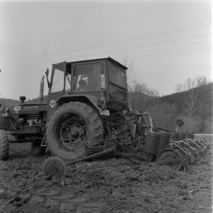 minerva_1982_c3_c6r4_010