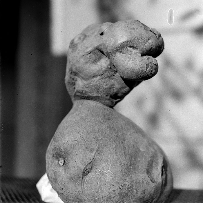 minerva_1982_c3_c6r5_003