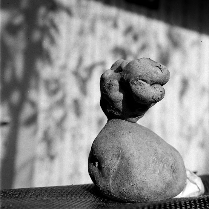 minerva_1982_c3_c6r5_006