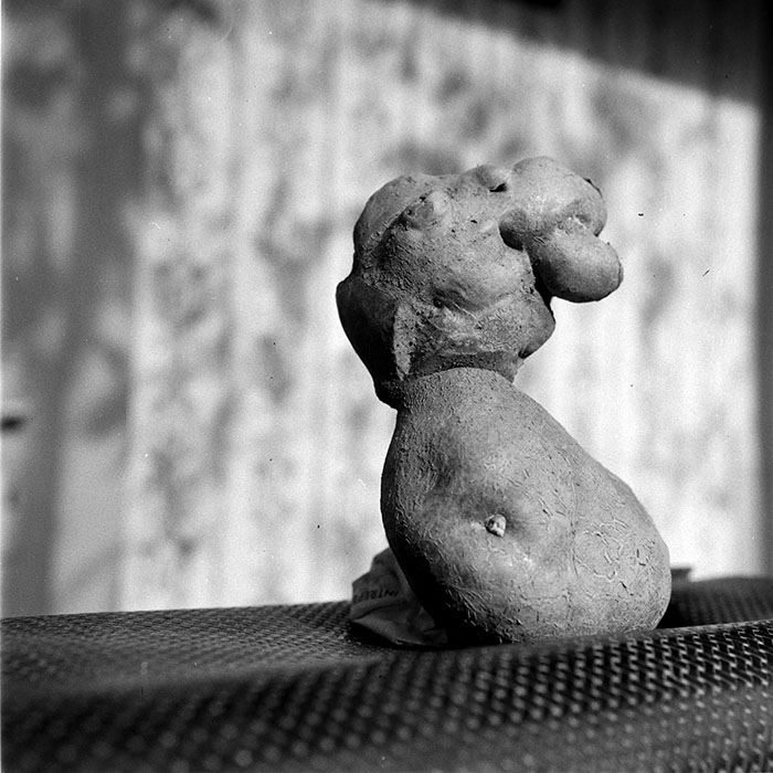 minerva_1982_c3_c6r5_007