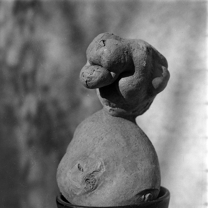 minerva_1982_c3_c6r5_013