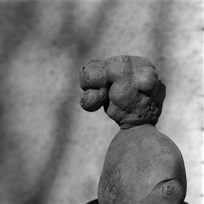 minerva_1982_c3_c6r5_015