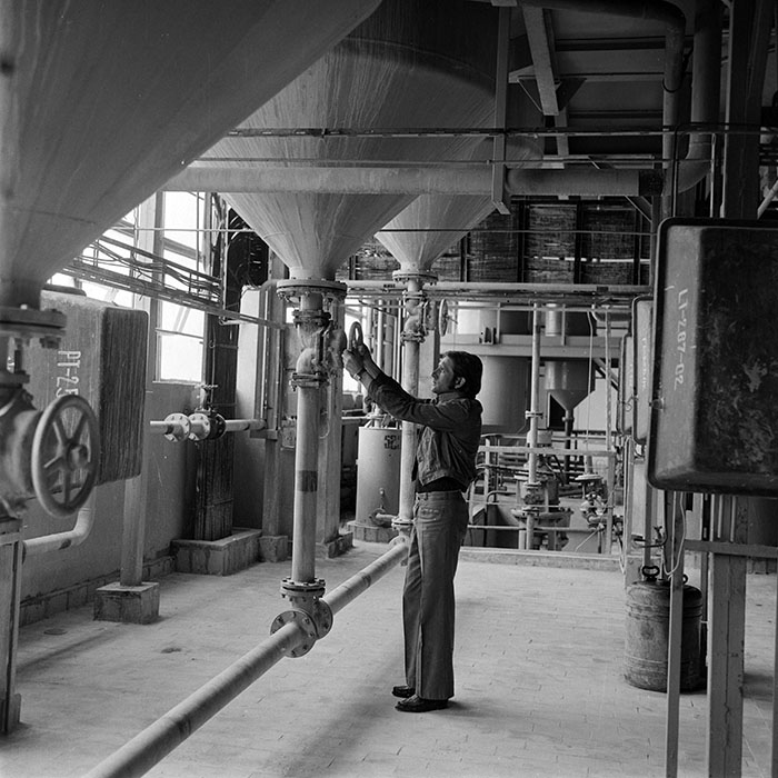 minerva_1982_c3_c7r2_017