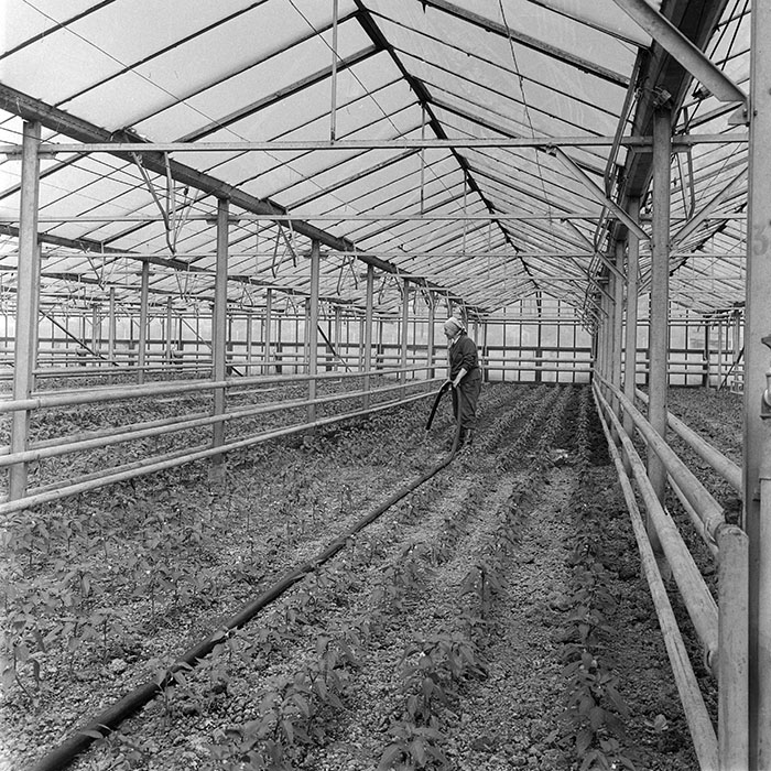 minerva_1982_c3_c7r2_021