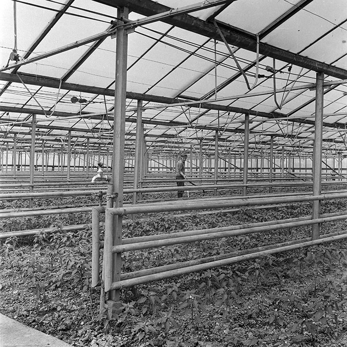 minerva_1982_c3_c7r2_022