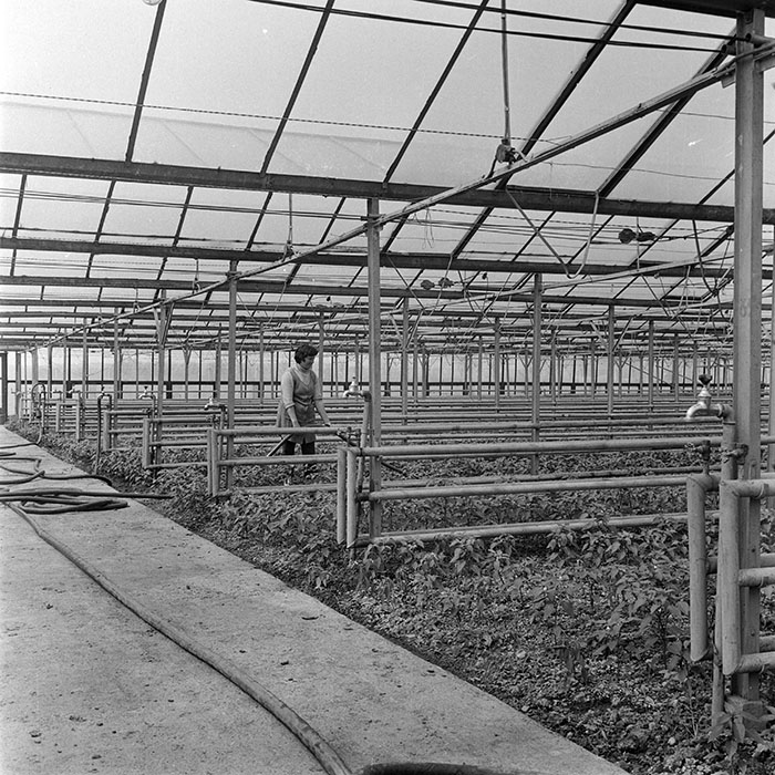 minerva_1982_c3_c7r2_023